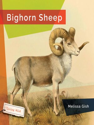 cover image of Bighorn Sheep